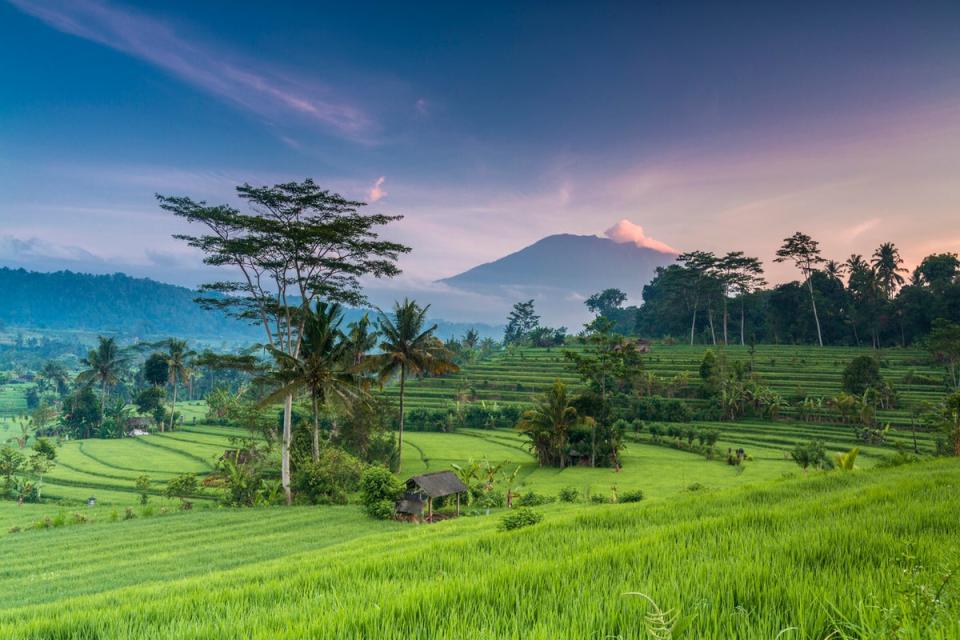 The island of Bali is among Indonesia’s most popular tourist destinations (Getty Images/iStockphoto)