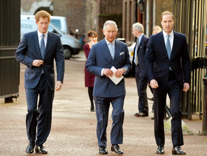 Harry, Charles, and William pictured together in 2014.