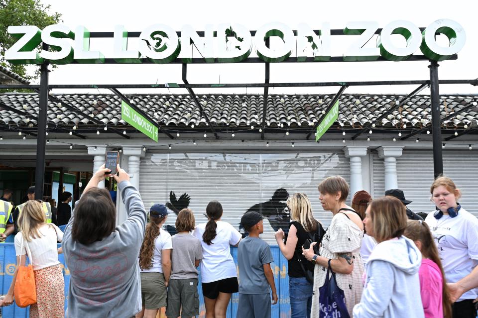 The latest artwork in Banksy's animal series was unveiled at London Zoo on Tuesday morning, 13 August. It shows a gorilla lifting a fence, while in the background several animals can be seen, including a sea lion and three curious eyes. The artwork attracted a lot of visitors and media attention. Passers-by were delighted with the new addition.