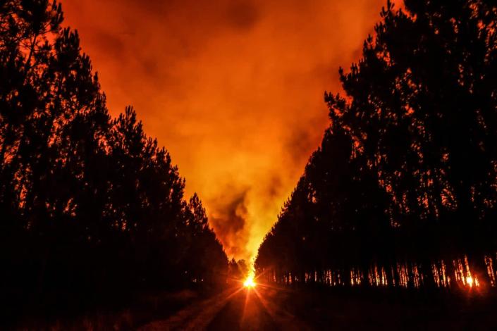 The rising sun illuminates the smoke of a forest fire near Belin-Beliet (AFP/Getty)