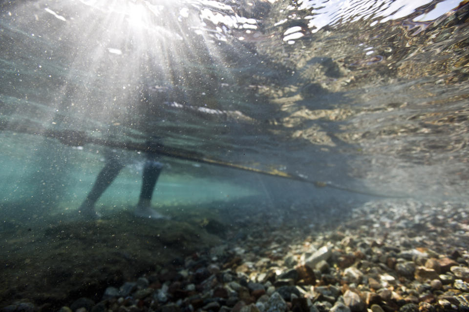 In this Monday, Feb. 11, 2019 photo, Maoz Fine, coral reef expert at Bar-Ilan University in Israel comes out of the water after a research dive in the Red Sea city of Eilat, southern Israel. As the outlook for coral reefs across our warming planet grows grimmer than ever, scientists have discovered a rare glimmer of hope: the corals of the northern Red Sea may survive, and even thrive, into the next century. The coral reefs at the northernmost tip of the Red Sea are exhibiting remarkable resistance to the rising water temperatures and acidification facing the region, according recent research conducted by Interuniversity Institute for Marine Sciences. (AP Photo/Ariel Schalit)