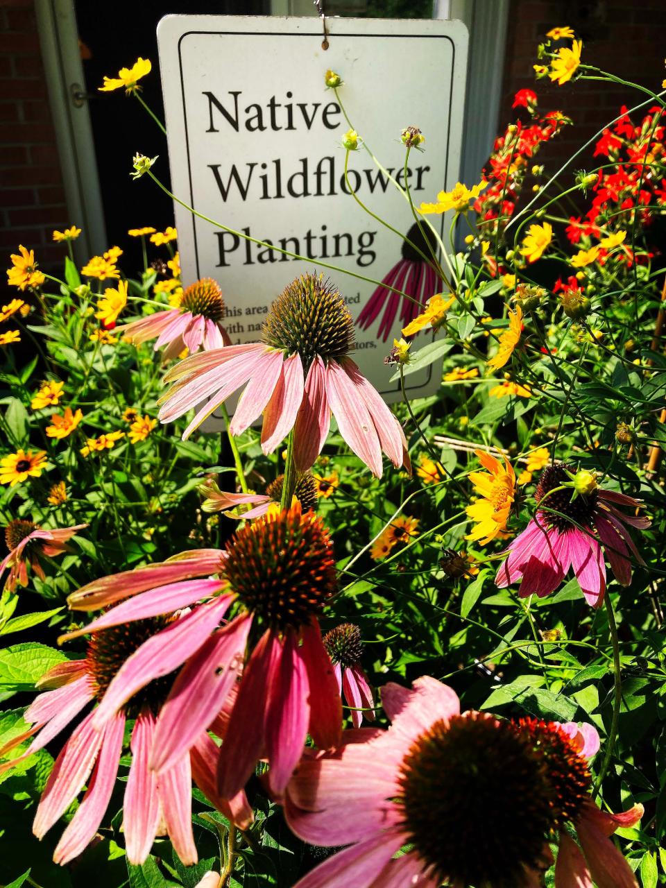 The amended Evansville weed ordinance now allows for managed native landscape and recommends that gardeners post signage that explains to passersby the highly important purpose of native plants.