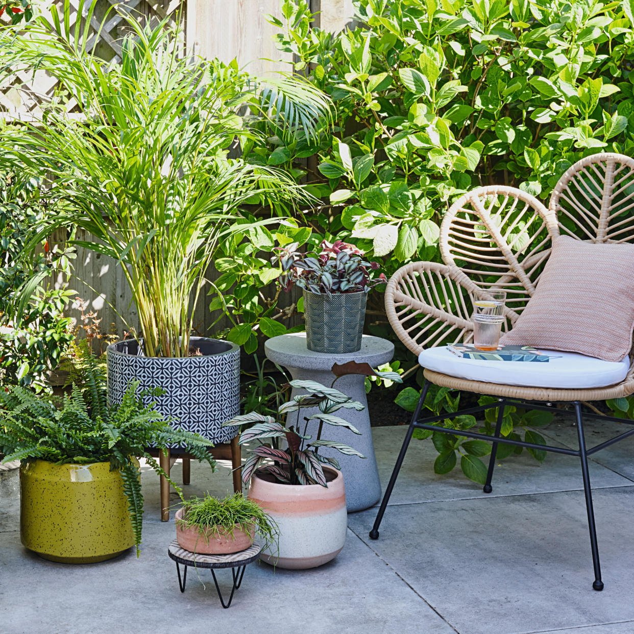  Courtyard garden with fence and shrubs, plants in pots and rattan chair with cushion. 
