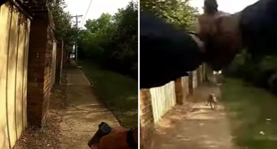 An Arlington police officer opened fire at a woman's dog, but fatally shot Margarita Victoria Brooks instead. Pictured here are stills from police officer's body camera as the barking dog runs towards him.