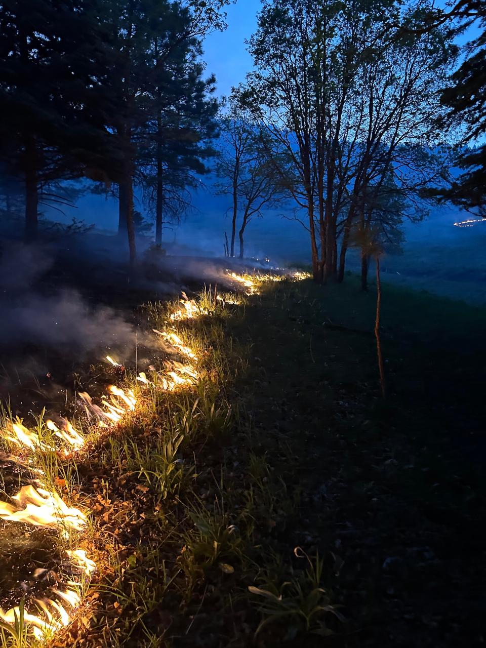 The Moser Fire ignited Monday, May 20, 2024 just four miles from the Village of Cloudcroft within the Lincoln National Forest. U.S. Forest Service officials said the wildfire grew to over 100 acres overnight and fire crews had not reached any containment of the fire by May 21.