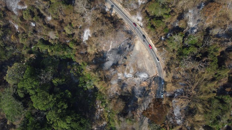 Una vista de un dron muestra un bosque quemado después de un incendio forestal en el Parque Nacional Henri Pittier, en Maracay, Venezuela