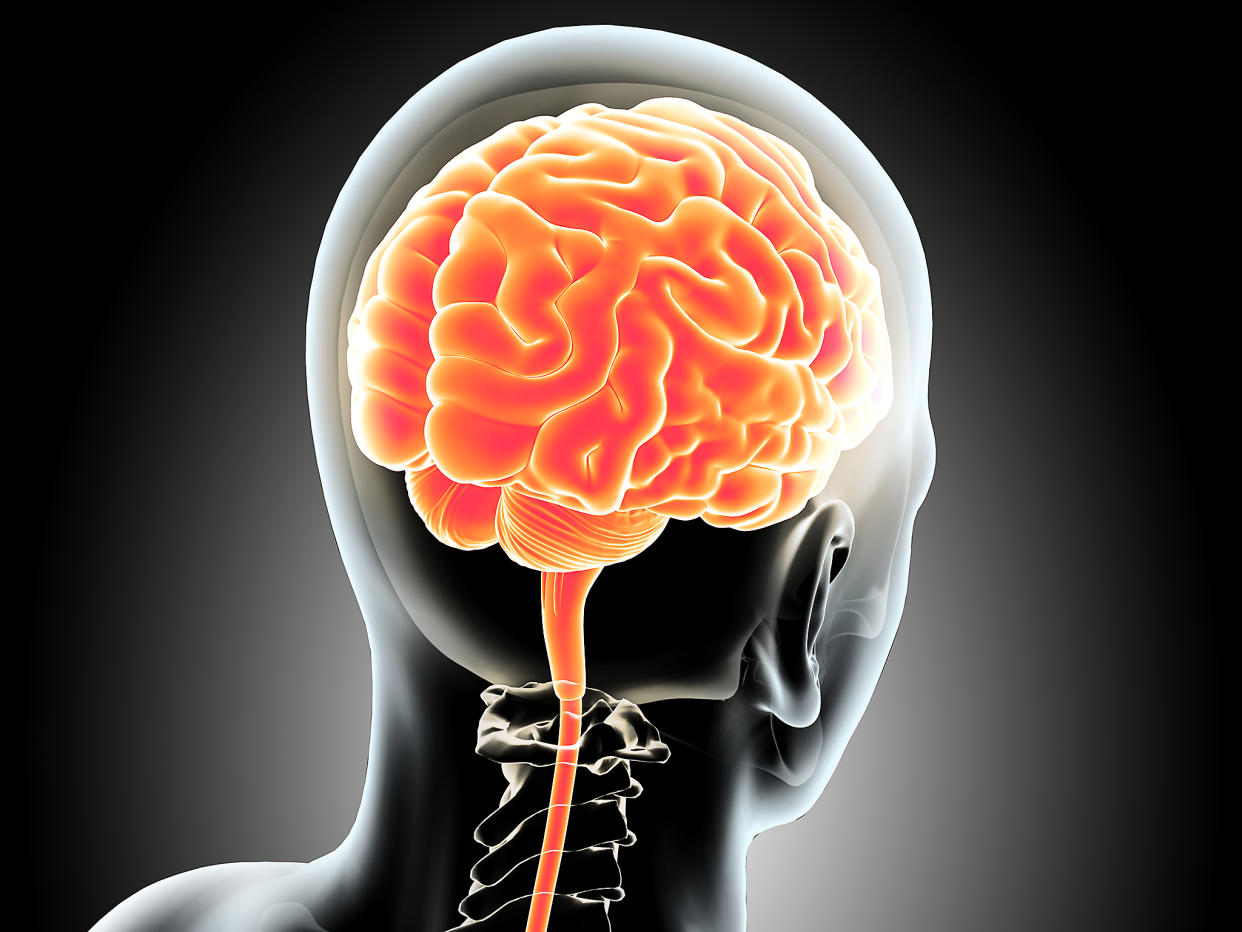 Human Brain: Getty Images/iStockphoto