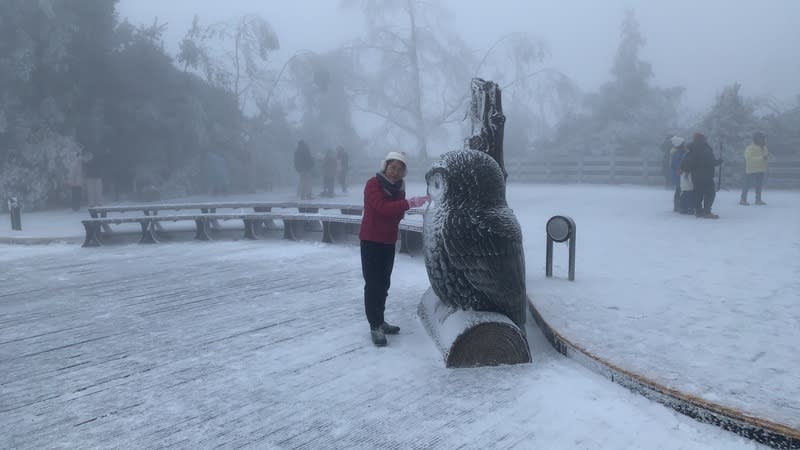 寒流發威 宜蘭太平山下雪 寒流發威，太平山國家森林遊樂區降下今年入冬以來 首場瑞雪，22日清晨園區太平山莊前廣場地上積雪， 遊客在貓頭鷹裝置藝術前拍照留念。 （農業部林業及自然保育署宜蘭分署提供） 中央社記者沈如峰宜蘭縣傳真  112年12月22日 