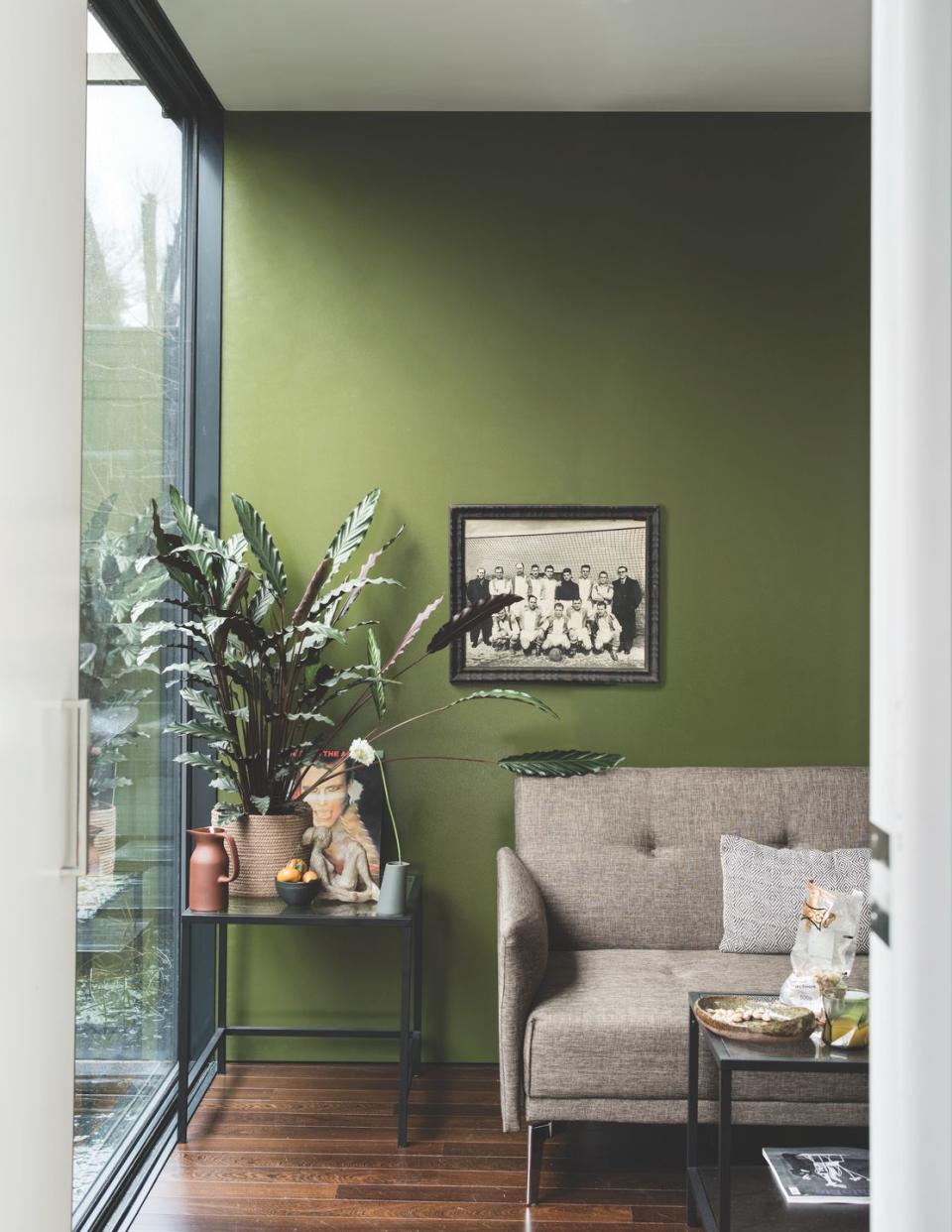 green living room painted in farrow ball modern 'bancha' no298 matt emulsion paint,