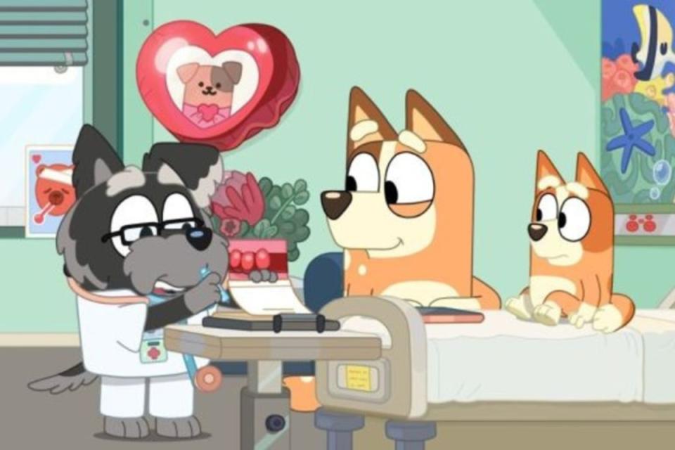 Bluey episode showing Bingo in hospital