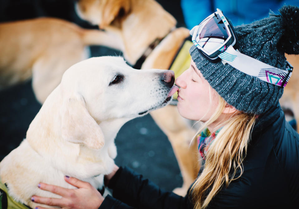 L’option... vacances au ski avec un chien