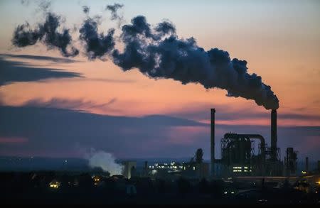 The factory of the company Kronospan is pictured during sunset at the east German town Lampertswalde December 8, 2014. REUTERS/Hannibal Hanschke