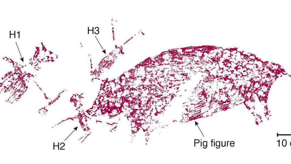 Eine Nachzeichnung der gemalten Szene zeigt humanoide Figuren (H1, H2 und H3), die mit dem Schwein interagieren.  - BRIN Google Arts