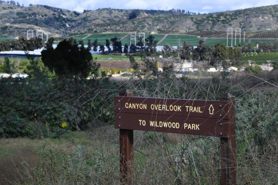 A trailhead sits nearly a quarter mile from a tree near the entrance to Santa Rosa Valley Park, where Randy Berks of Camarillo was eating lunch in 2020. At the time, a woman on the trail was the victim of a kidnapping attempt. Berks, who was initially charged with the crime, only recently received a rare legal declaration of innocence.