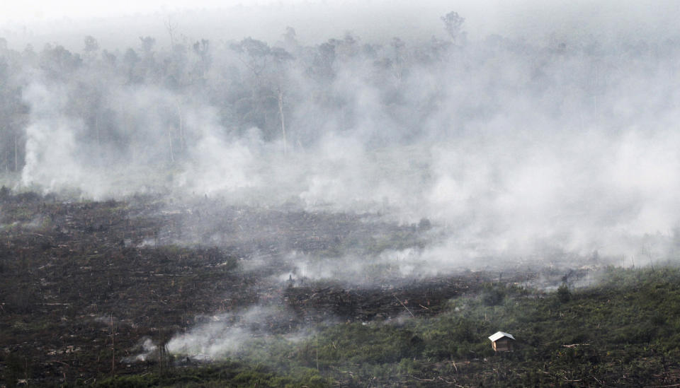 FILE - In this June 27, 2013, file photo, smoke billows during a forest fires in Pelalawan, Riau province, Indonesia. Indonesia’s air quality has deteriorated from among the cleanest in the world to one of the most polluted over the past two decades, shaving five years from life expectancy in some regions, researchers say. (AP Photo/Rony Muharrman, File)