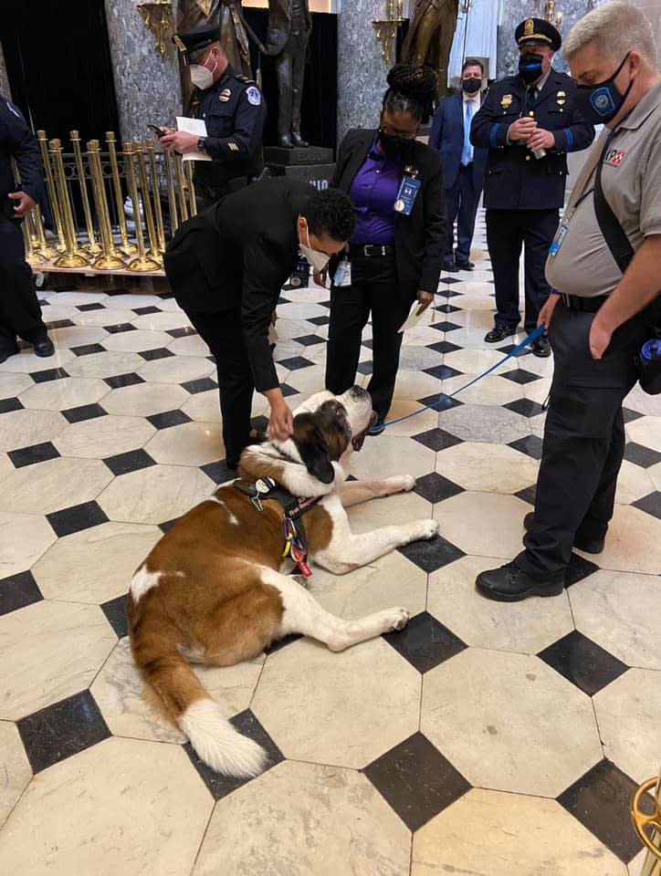 Officer Clarence enjoys attention at the U.S. Capitol. (Courtesy of Deputy Chief William Gordon)