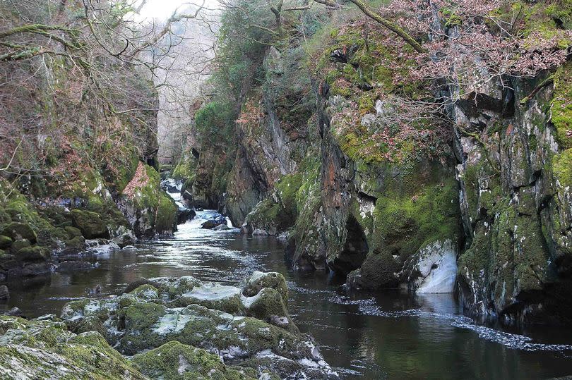 The magical Fairy Glen near Betws Y Coed is a riot of green in the summer