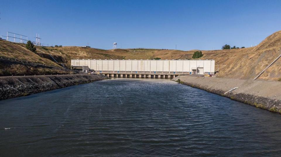 The Harvey O. Banks Pumping Plant, photographed Wednesday, pumps water from the Delta into the California Aqueduct. The John E. Skinner Delta Fish Protective Facility fish protective facility intercepts fish about two miles before water reaches the pumps.
