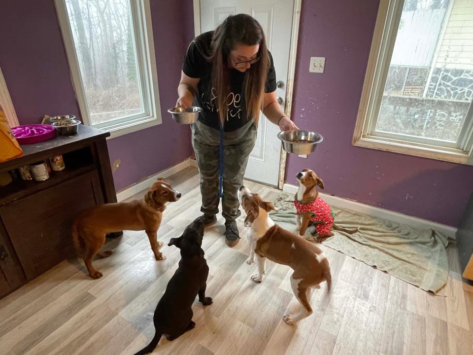 Rush uses feeding time to teach the dogs manners.