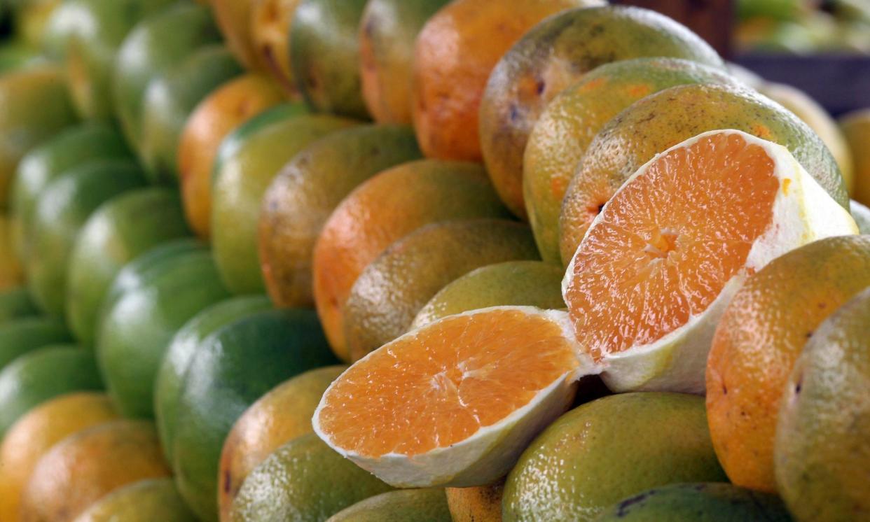 <span>The harvest in Brazil, which accounts for 70% of global orange juice exports, is forecast to be almost a quarter down on last year.</span><span>Photograph: Paulo Whitaker/Reuters</span>