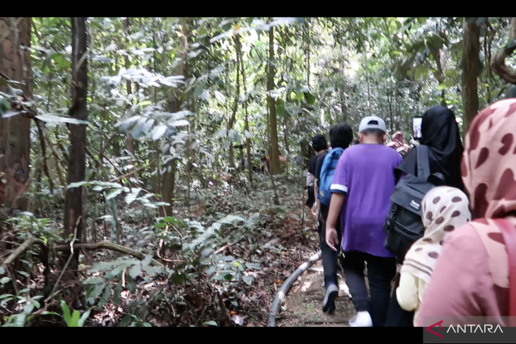 Murid-murid dan orang tua murid dari Sanggar Bimbingan dan Taman Pendidikan Al Qur'an di Kampung Baru menjelajahi hutan di Taman Eko Rimba Kuala Lumpur, Minggu (30-10-2022). ANTARA/Virna P. Setyorini