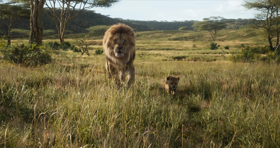 Mufasa and young simba walk through the pride land.