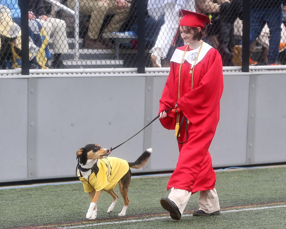 Hingham High senior Isabella Stone walks with comfort dog Opry during commencement ceremonies for the Class of 2023 on Saturday, June 3, 2023.