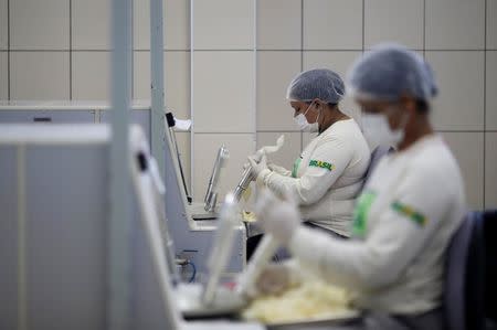 Condoms, produced with natural rubber extracted from the Seringueira tree, are tested at Natex male condoms plant in Xapuri, Acre state, Brazil, June 23, 2016. REUTERS/Ricardo Moraes