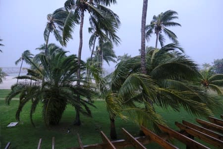 Palm trees blow in the wind during the arrival of Hurricane Dorian in Marsh Harbour