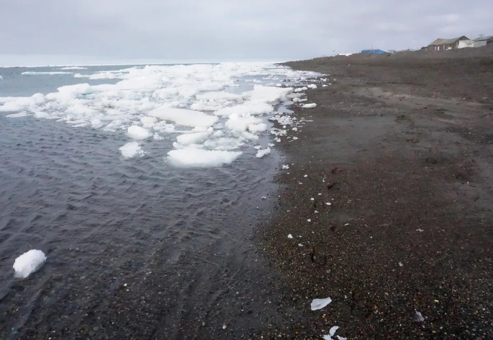 Broken-up chunks of sea ice arrive at a broad swath of shoreline.