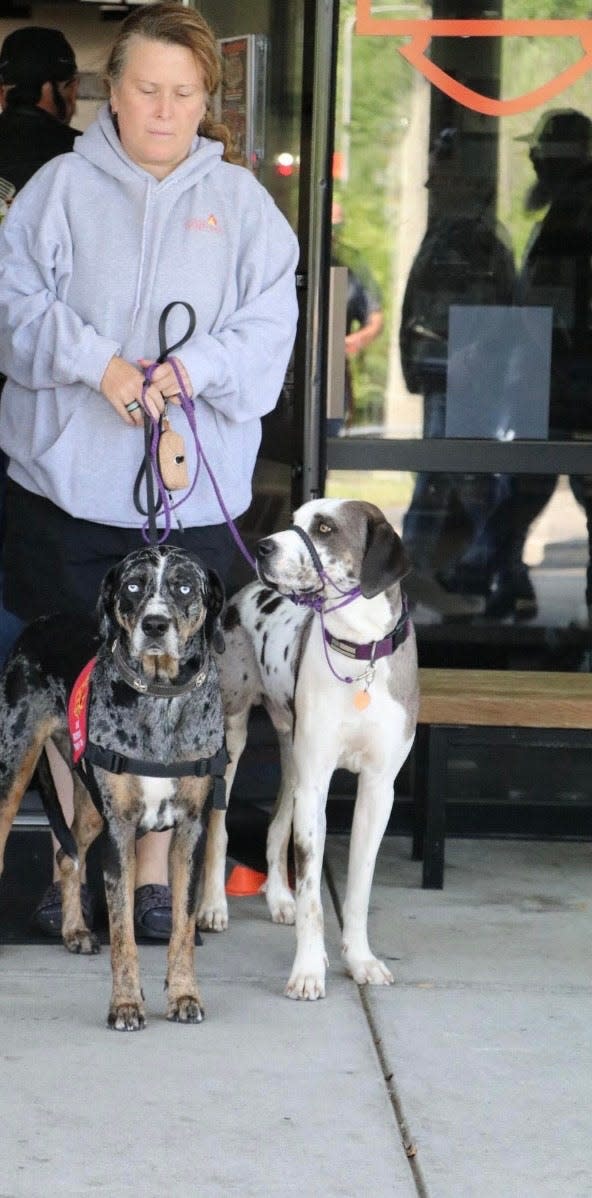 Celena Welty of Mount Joy Township, Adams County owns Cali, left, and Rip, right. Cali is part of First Responder Therapy Dogs. Welty intends to have Rip be part of the organization, too.