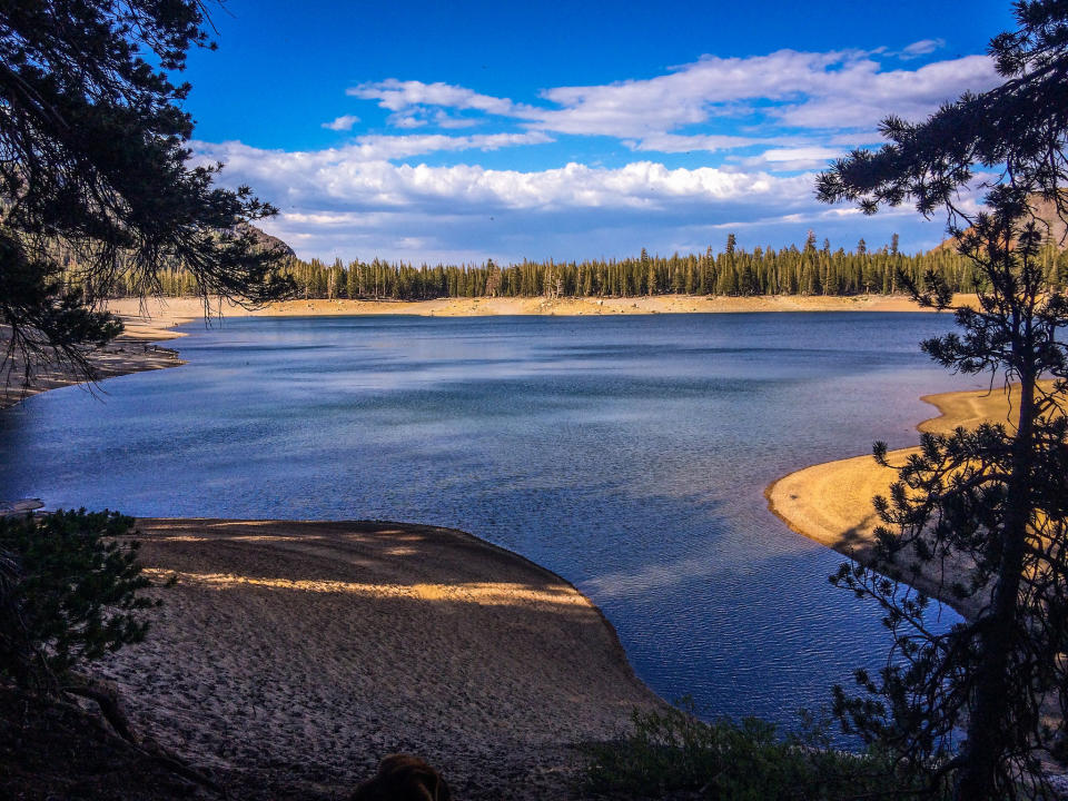 Very low water levels at Horseshoe Lake in Mammoth due to the ongoing drought in California, on July 9, 2014.  