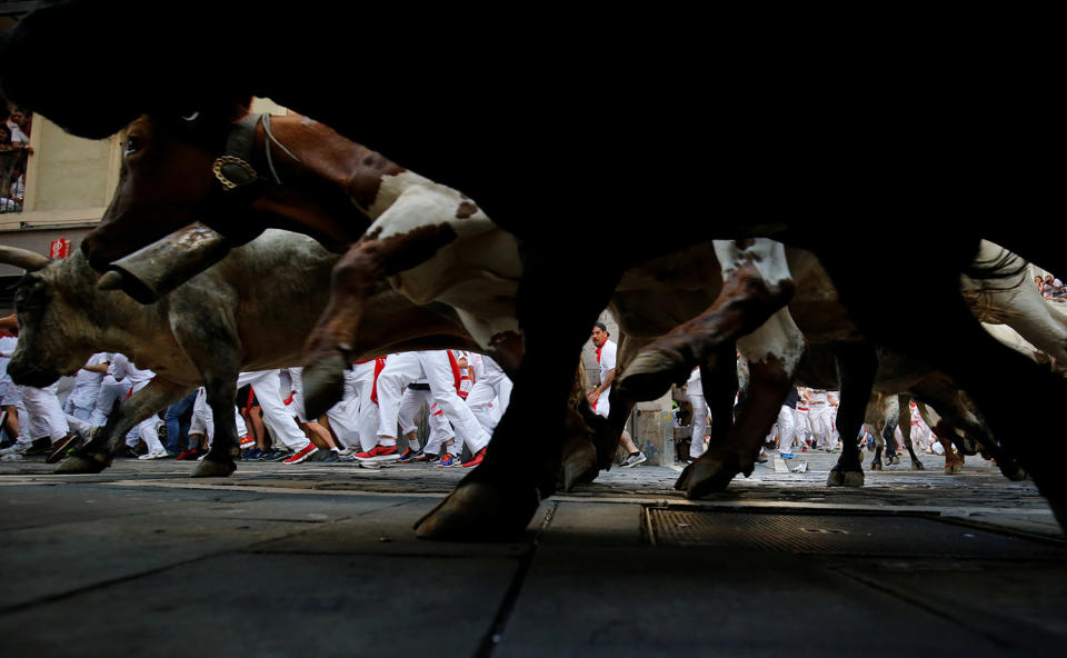 Running of the Bulls in Pamplona, Spain