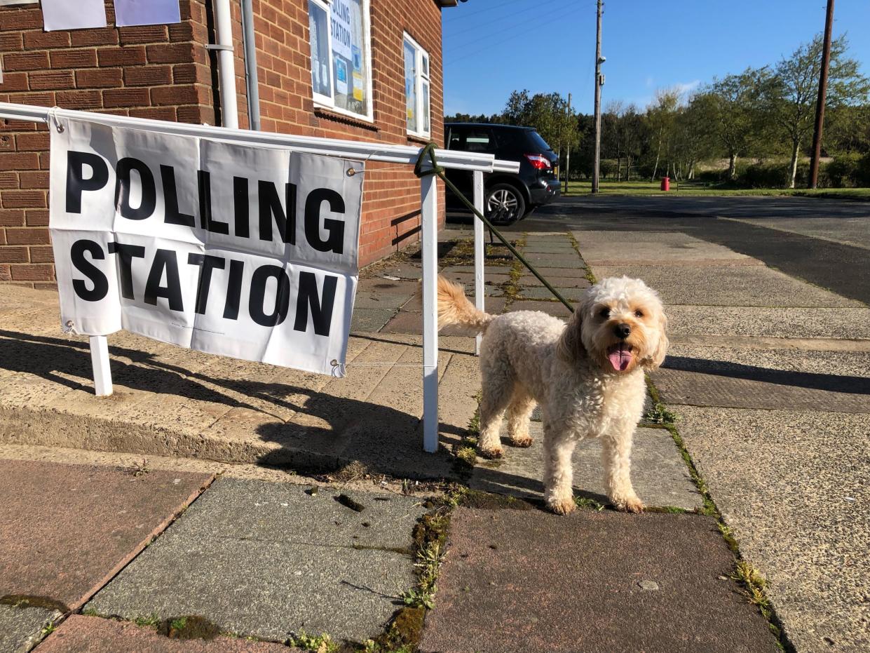 Reggie the two-yea-old Cockapoo outside a polling station in Chester-le-Street, County Durham (PA)