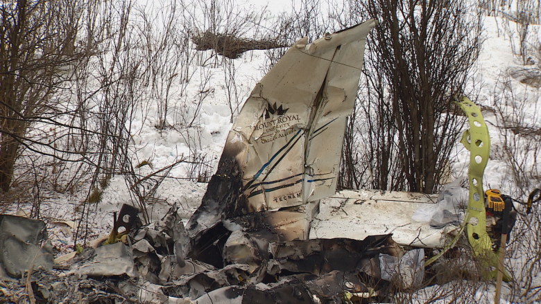 'This is our decision alone': MRU grounds Tecnam planes as crash investigation continues