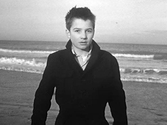 the 400 blows Criterion