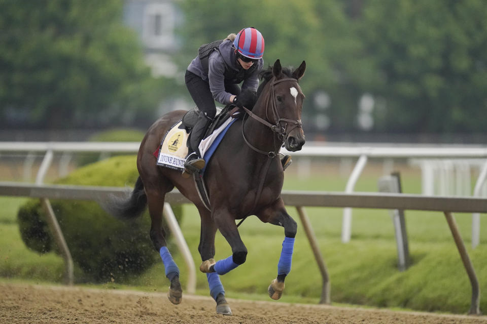 Black-Eyed Susan entrant Divine Huntress gallops during a morning workout ahead of the Black-Eyed Susan horse race at Pimlico Race Course, Thursday, May 19, 2022, in Baltimore. (AP Photo/Julio Cortez)