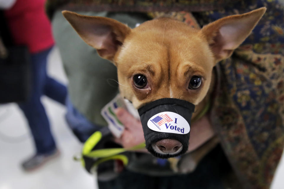 Election 2020 Vermont Primary