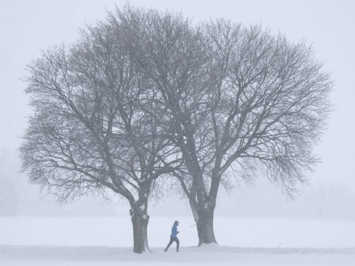 A man jogs through the Central Experimental Farm in Ottawa last month. There is a snowfall warning for Ottawa and areas to its east, with a weather advisory to its west. (Adrian Wyld/The Canadian Press - image credit)