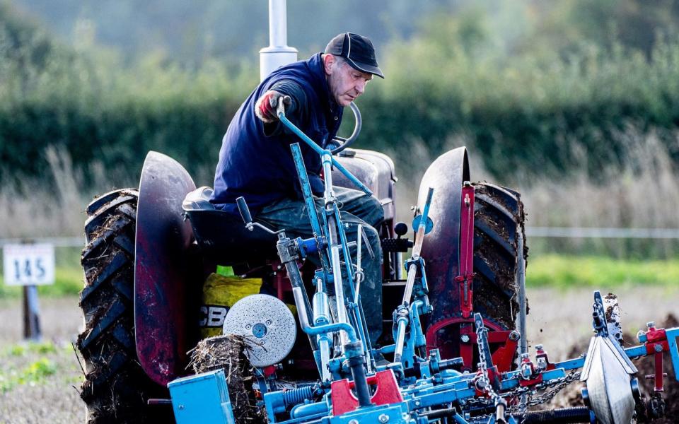 elderly british farmer - Charlotte Graham