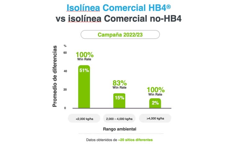 En los ensayos de HB4 vs no-HB4, el promedio total de diferencias de rendimiento en la suma de todos los ambientes fue de 22% a favor de la tecnología desarrollada 