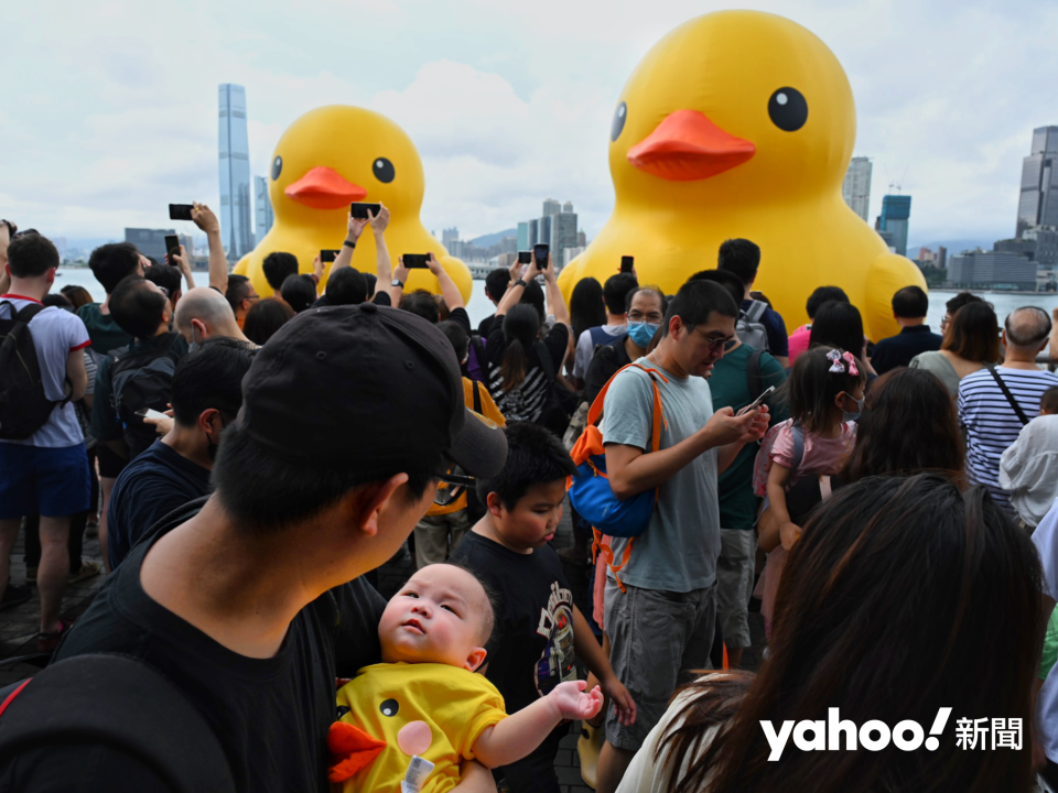 今日不少市民早上到金鐘添馬公園一帶觀賞和拍照，趕及和「孖鴨」拍照的最後時光。