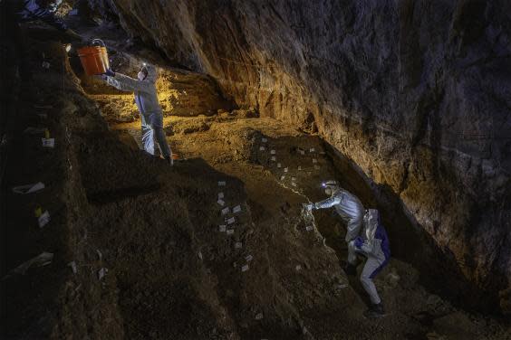 Scientists, inside the central Mexican cave, busy collecting samples for ancient plant and animal DNA analyses (Devin A Gandy)