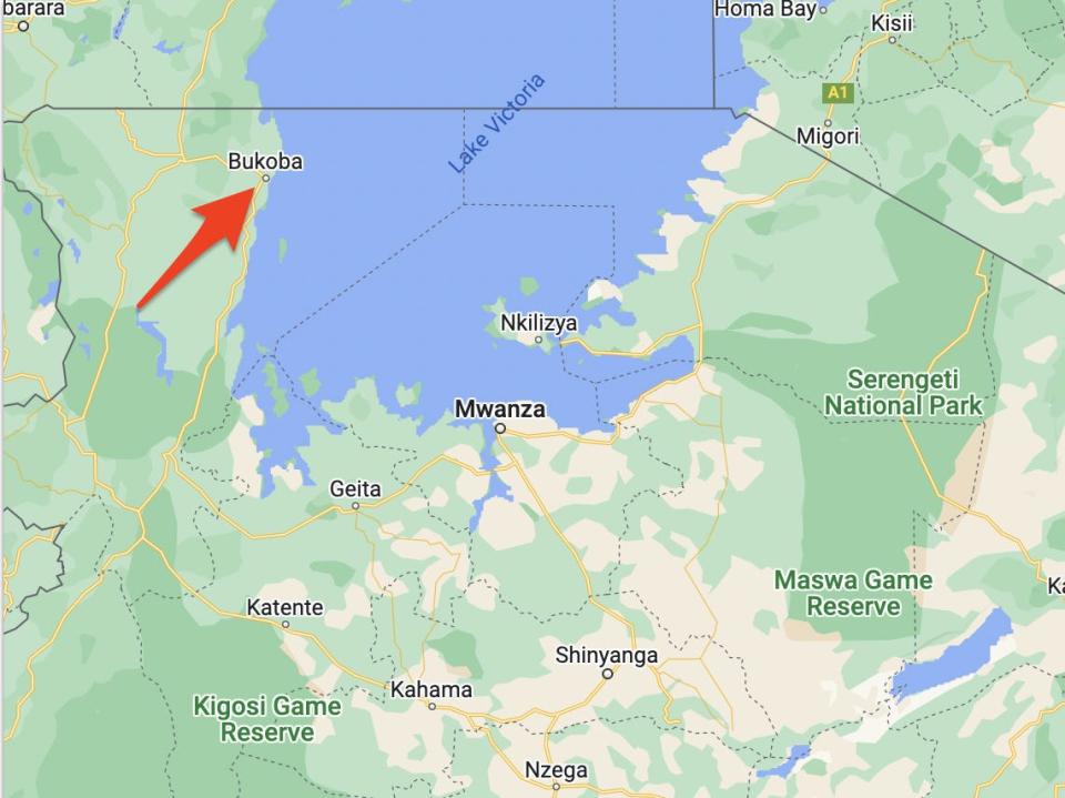 The plane attempted to land at an airport in the town of Bukoba in Tanzania when it fell into Lake Victoria.