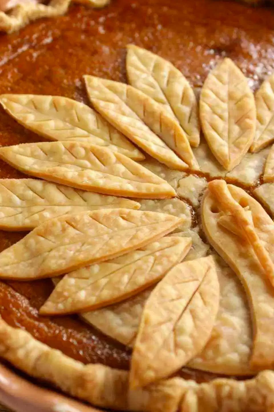 Adorable Turkey Crust Pumpkin Pie