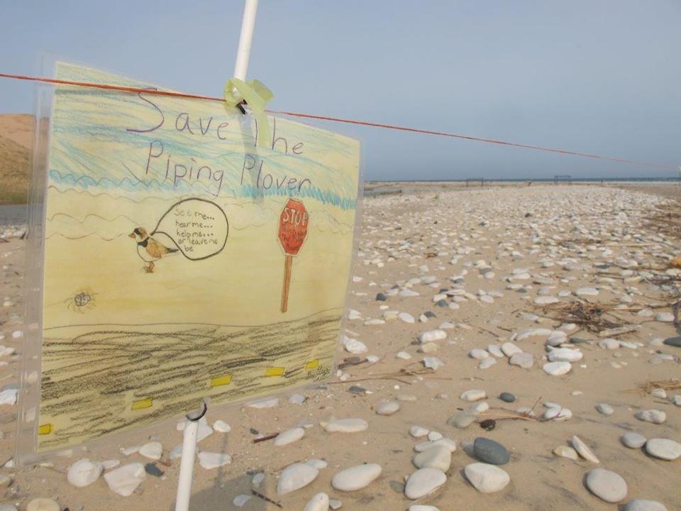 In this May 30, 2019 photo, a child-drawn sign warns visitors of a piping plover nesting area in Glen Haven, Mich. Trouble is brewing for the piping plovers, already one of the Great Lakes region's most endangered species, as water levels surge during a rain-soaked spring that has flooded large areas of the Midwest. (AP Photo/John Flesher)