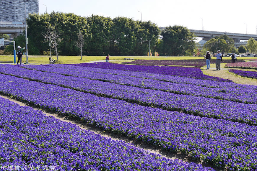 台北｜古亭河濱公園