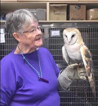 Faye Russell from the Cape Fear Raptor Center will be the speaker at the Sandbar Lecture series on July 18.
