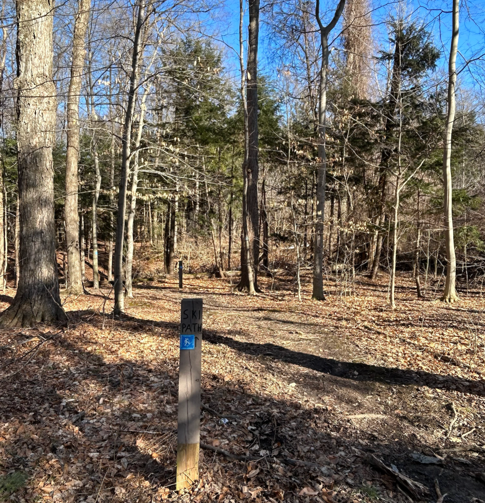 A local ski path at Sherrill Brook Park in New Hartford during a recent snowless weekend in February.