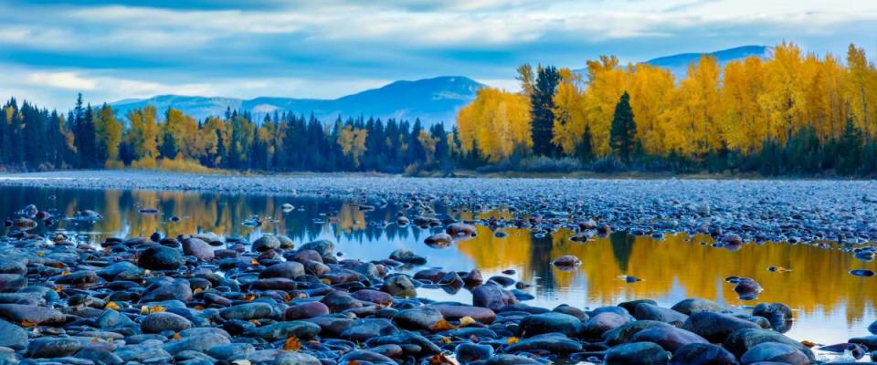 River rocks and color reflection on Flathead River, Montana in autumn with colorful fall trees